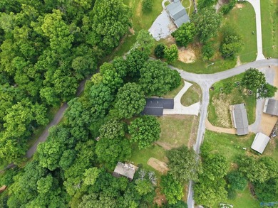 OH Sun 7/19 2-4pm. 9771 Sergeant Holden Ln- Beautifully - photo 34