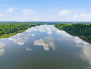 OH Sun 7/19 2-4pm. 9771 Sergeant Holden Ln- Beautifully - photo 37