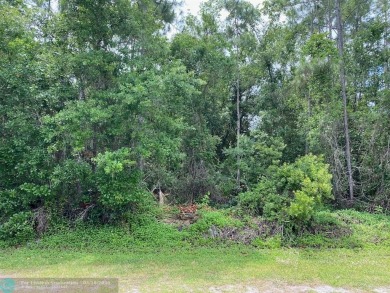 Lake Lot For Sale in Indian Lake Estates, Florida