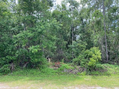 Lake Weohyakapka Lot For Sale in Indian Lake Estates Florida