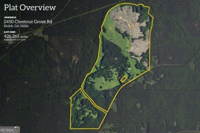 Lake Acreage For Sale in Shiloh, Georgia