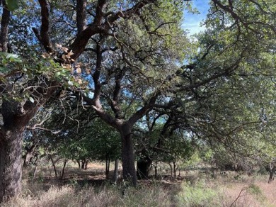 Brady Creek Reservoir Acreage For Sale in Brady Texas