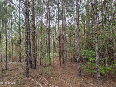 Dogwood Lake Lot For Sale in Bonifay Florida