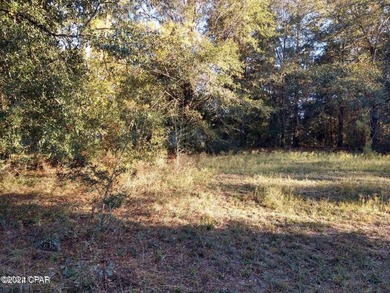 Dogwood Lake Lot For Sale in Bonifay Florida