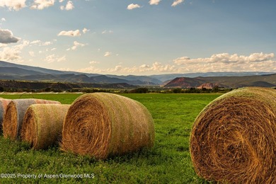 Behold 450 spectacular acres in the shadow of majestic Mt - photo 8