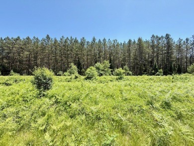 Lake Acreage For Sale in Hayward, Wisconsin