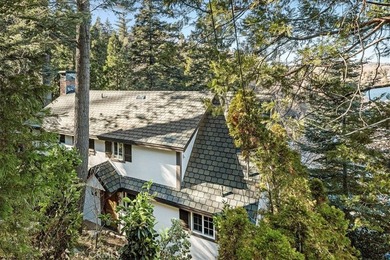 28906 Palisades Dr - photo 41