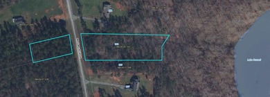 BEAUTIFUL HOME SITE ON LAKE RUSSELL, LOT BACKS UP TO CORP - photo 2