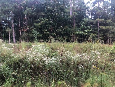 BEAUTIFUL HOME SITE ON LAKE RUSSELL, LOT BACKS UP TO CORP - photo 3