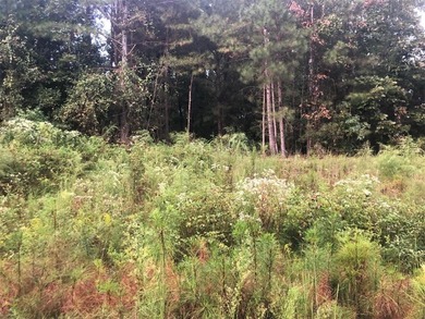 BEAUTIFUL HOME SITE ON LAKE RUSSELL, LOT BACKS UP TO CORP - photo 4