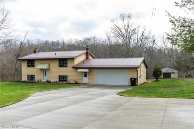 Grand River  Home For Sale in Ashtabula Ohio