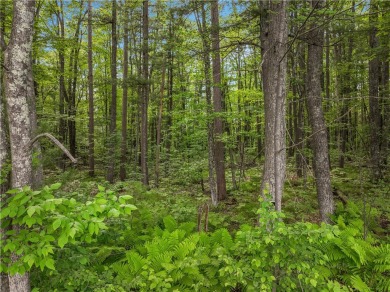 Lake Lot For Sale in Hayward, Wisconsin