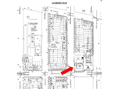 313 and 315 Clermont Av are two 25x100 lots Forte Green - photo 12