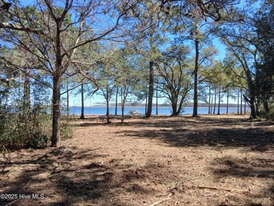 Bay River Acreage For Sale in Bayboro North Carolina