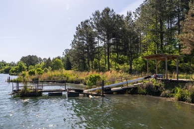 750+/- acre multi-generational farm in Clay County, Georgia - photo 11