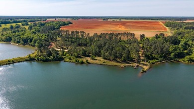 750+/- acre multi-generational farm in Clay County, Georgia - photo 12