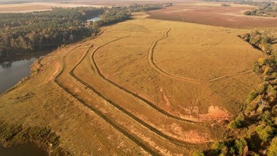750+/- acre multi-generational farm in Clay County, Georgia - photo 14
