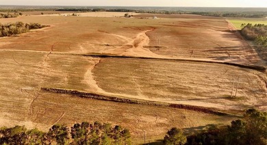 750+/- acre multi-generational farm in Clay County, Georgia - photo 18