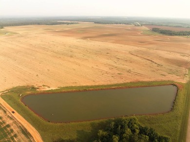 750+/- acre multi-generational farm in Clay County, Georgia - photo 19