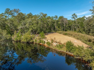 (private lake, pond, creek) Lot For Sale in Sopchoppy Florida