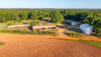 750+/- acre multi-generational farm in Clay County, Georgia - photo 22
