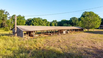 750+/- acre multi-generational farm in Clay County, Georgia - photo 25