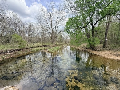 This is beautiful place here in Camden county Mo!! 41.64 acres - photo 1