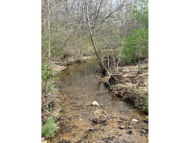 This is beautiful place here in Camden county Mo!! 41.64 acres - photo 3