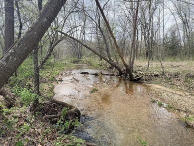 This is beautiful place here in Camden county Mo!! 41.64 acres - photo 4