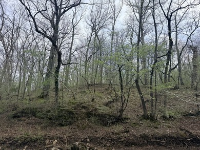This is beautiful place here in Camden county Mo!! 41.64 acres - photo 6
