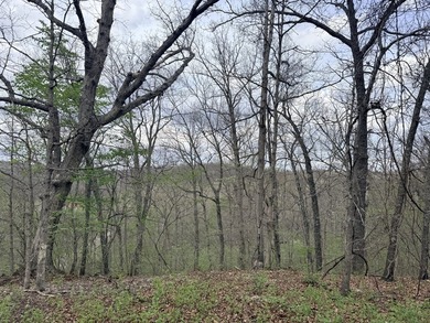 This is beautiful place here in Camden county Mo!! 41.64 acres - photo 7