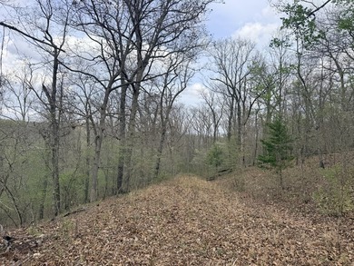 This is beautiful place here in Camden county Mo!! 41.64 acres - photo 8