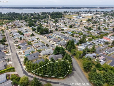 Ocean and bay view lot with utilities already in place! This - photo 2