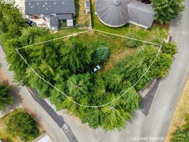 Ocean and bay view lot with utilities already in place! This - photo 3
