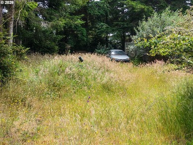 Ocean and bay view lot with utilities already in place! This - photo 10