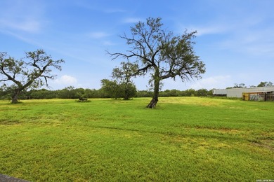 Welcome home to 7970 Knowlton Rd. FOUR acres fully fenced with - photo 5