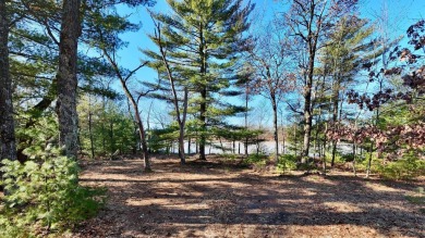 Lake Lot For Sale in Friendship, Wisconsin