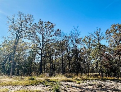 Lake Lot For Sale in Quitman, Texas