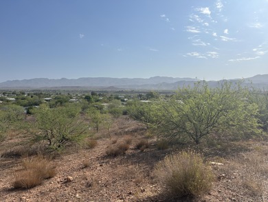 Lake Roosevelt Lot For Sale in Tonto Basin Arizona