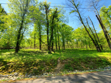 3/4 Acre Building Lot with Cherokee Lake Access - Lake Lot For Sale in Mooresburg, Tennessee