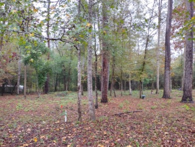 Private Lake Community, Cleared Lots on Cul De Sac SOLD - Lake Lot SOLD! in Woodville, Texas