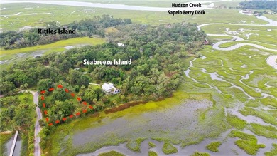 Spacious 1.03 acre marsh front lot located on Seabreeze Island - photo 11