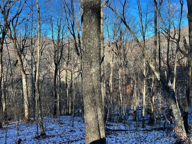 Mars Hill Reservoir Lot For Sale in Mars Hill North Carolina