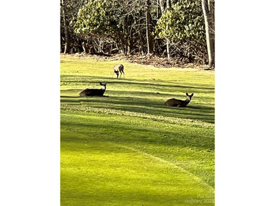 The beautiful Wolf Laurel gated community affords all the - photo 4