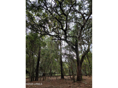 Beaufort River Lot For Sale in Saint Helena Island South Carolina