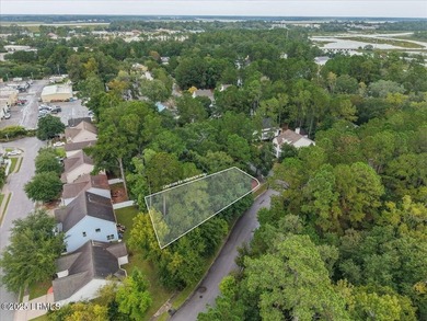 Build your custom home in Live Oaks at Battery Creek, one of - photo 5