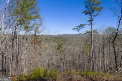 Carters Lake Acreage For Sale in Talking Rock Georgia