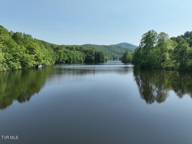 Ripskin Lake Lot For Sale in Roan Mountain Tennessee