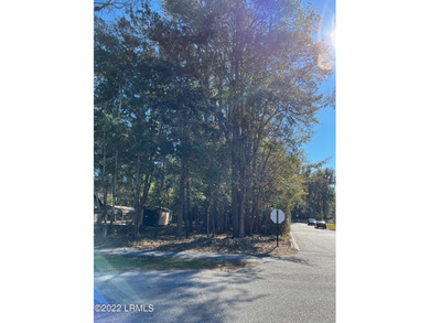 Beaufort River Commercial For Sale in Beaufort South Carolina