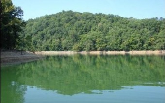 Lot 21 Osprey Drive - Lake Acreage For Sale in New Tazewell, Tennessee
